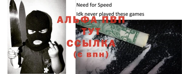 крисы Вязьма
