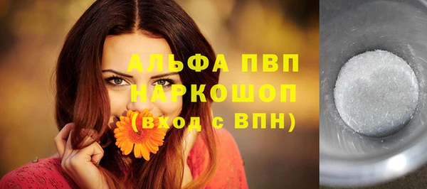 крисы Вязьма