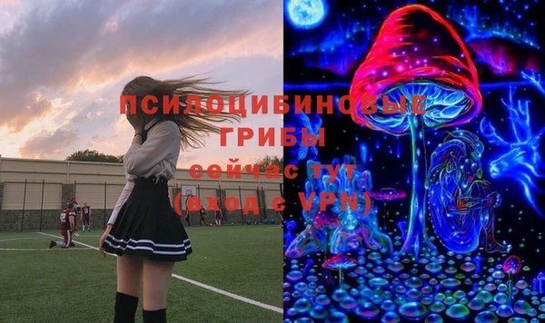 Альфа ПВП Вяземский