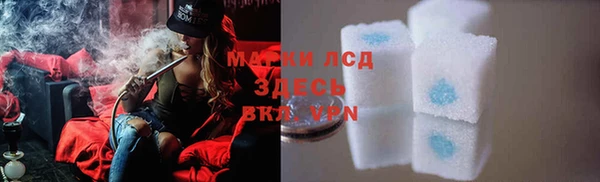 крисы Вязьма