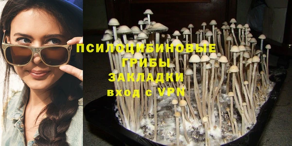 Альфа ПВП Вяземский