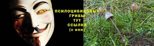 Альфа ПВП Вяземский