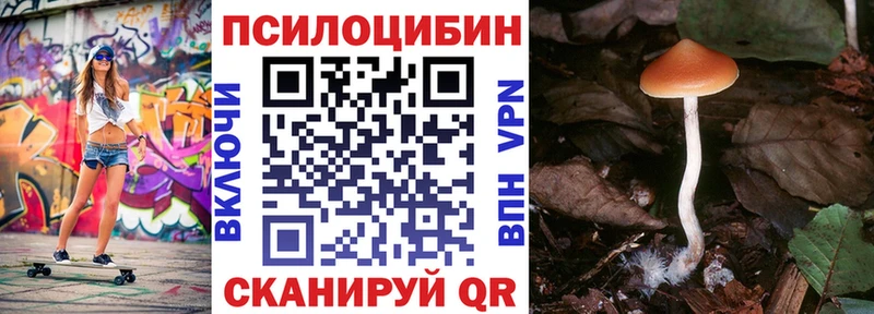 Псилоцибиновые грибы мицелий  наркошоп  Каргат 